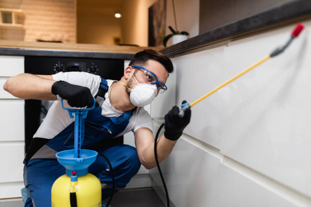 Best Cockroach Control Services  in Lena, IL