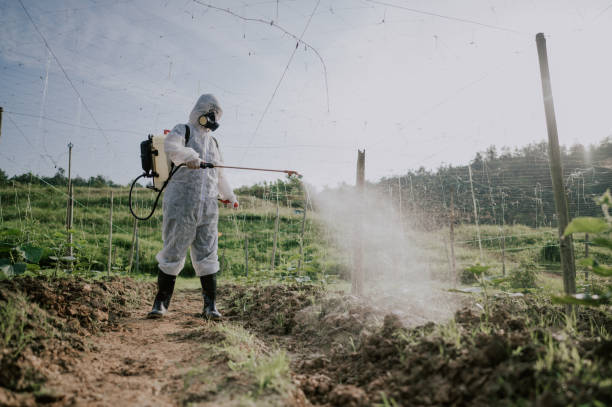 Best Affordable Pest Control Services  in Lena, IL