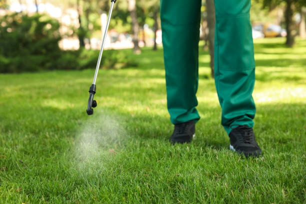 Best Commercial Pest Control Services  in Lena, IL