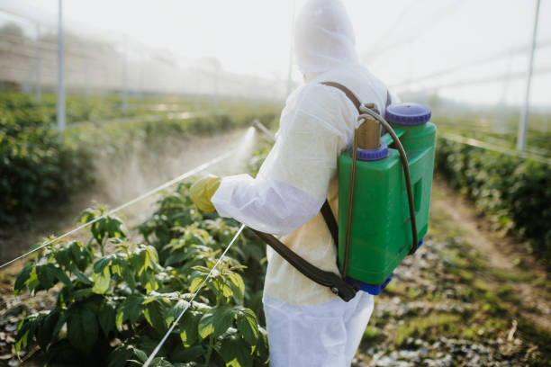 Best Exterminator Services  in Lena, IL